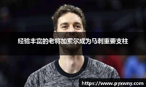 米兰体育平台