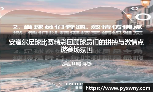安道尔足球比赛精彩回顾球员们的拼搏与激情点燃赛场氛围