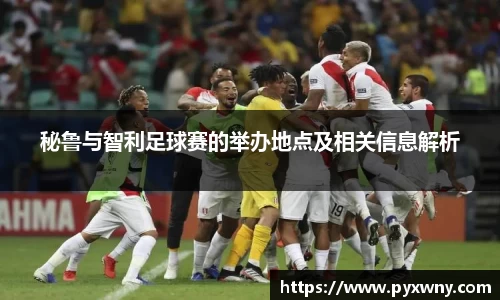 秘鲁与智利足球赛的举办地点及相关信息解析