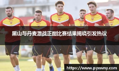 黑山与丹麦激战正酣比赛结果揭晓引发热议