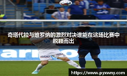 米兰体育平台
