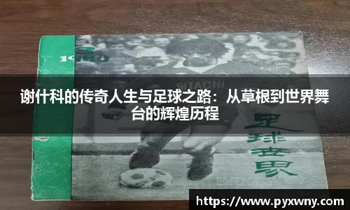 米兰体育官方网站
