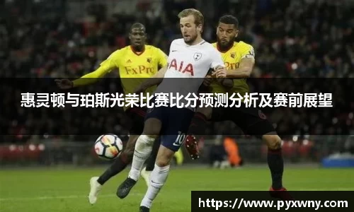 惠灵顿与珀斯光荣比赛比分预测分析及赛前展望